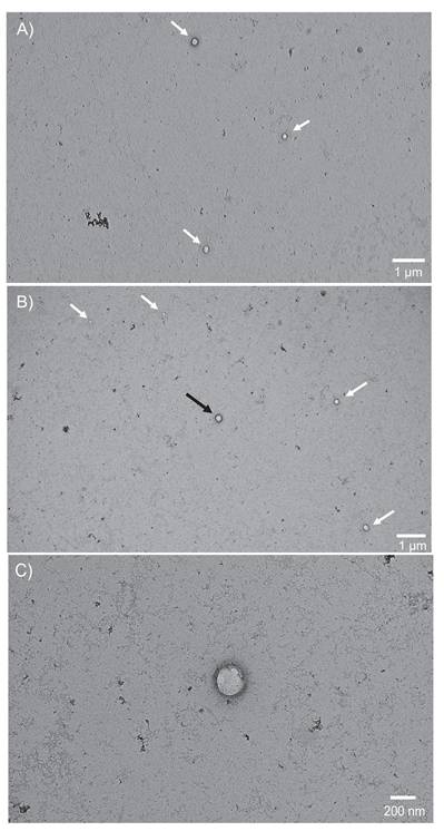 Nanotheranostics Image