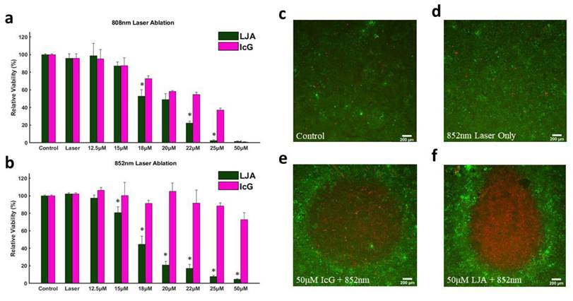 Nanotheranostics Image