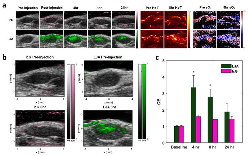 Nanotheranostics Image