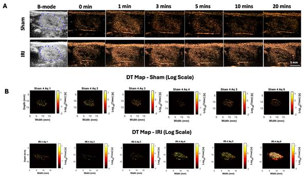 Nanotheranostics Image