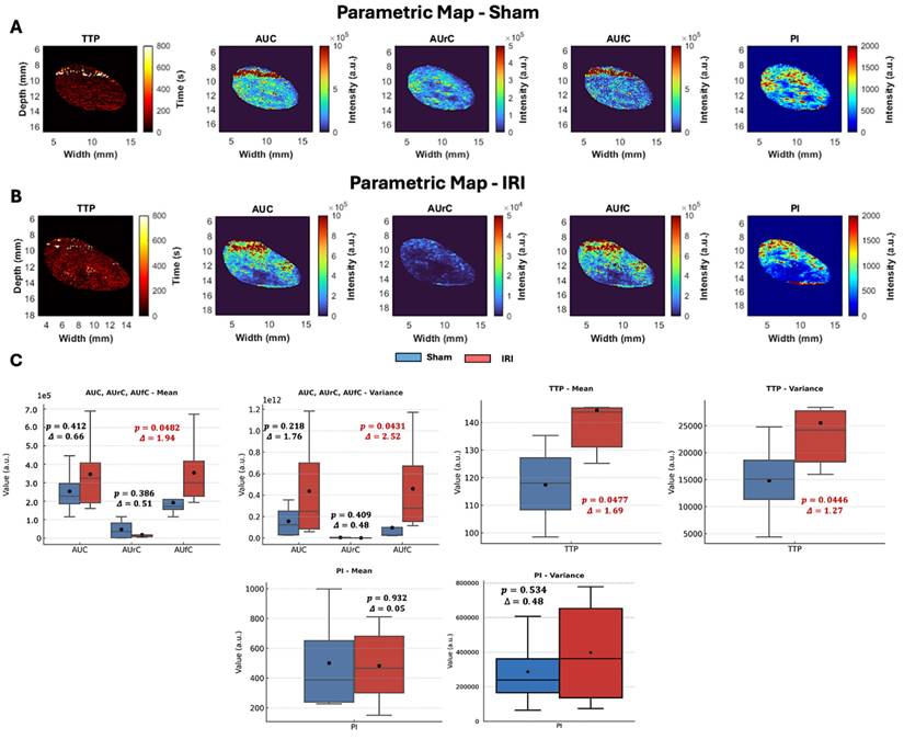 Nanotheranostics Image