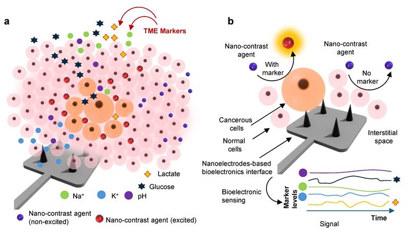 Nanotheranostics Image