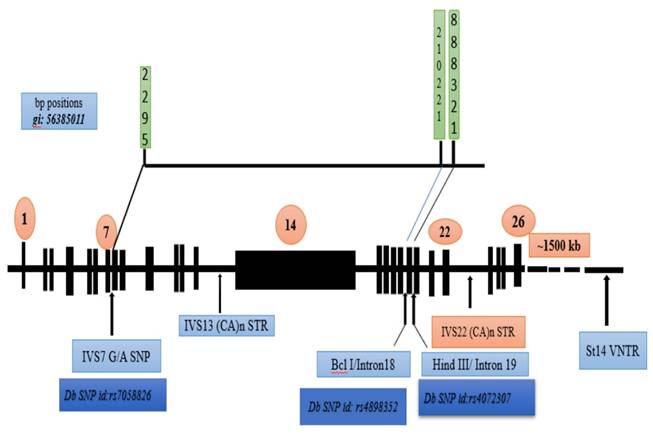 Nanotheranostics Image