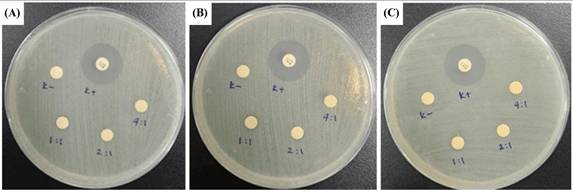 Nanotheranostics Image