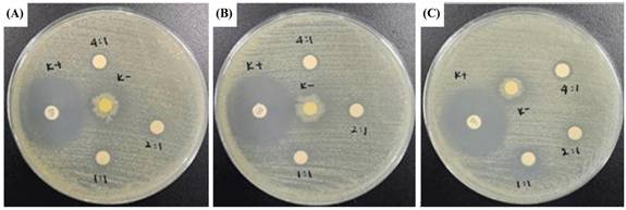 Nanotheranostics Image