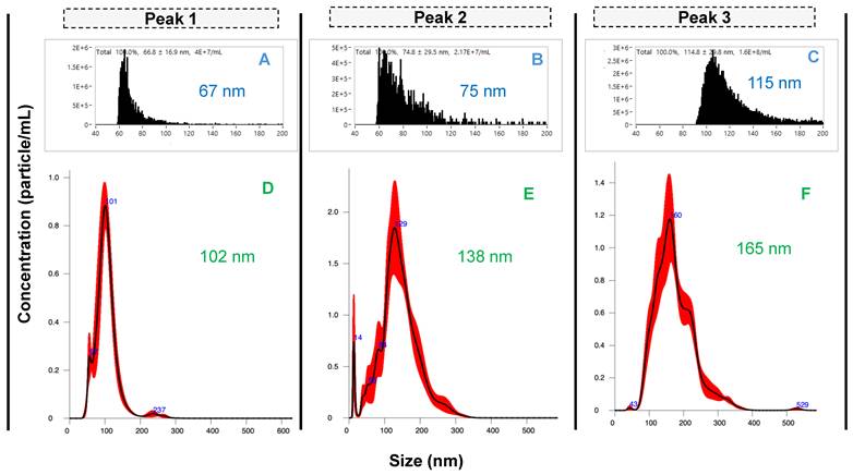 Nanotheranostics Image
