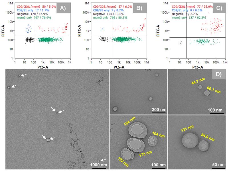 Nanotheranostics Image