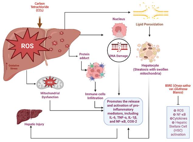 Nanotheranostics Image