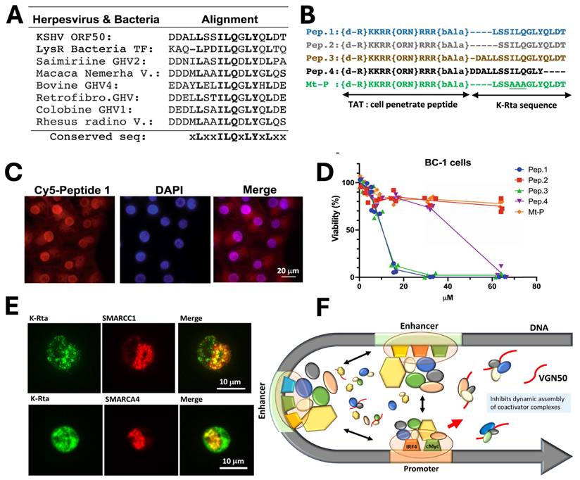 Nanotheranostics Image