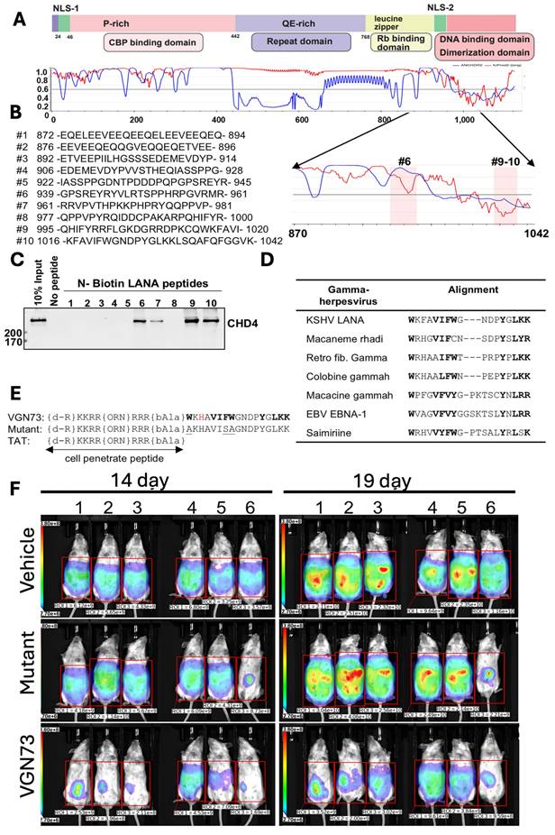 Nanotheranostics Image