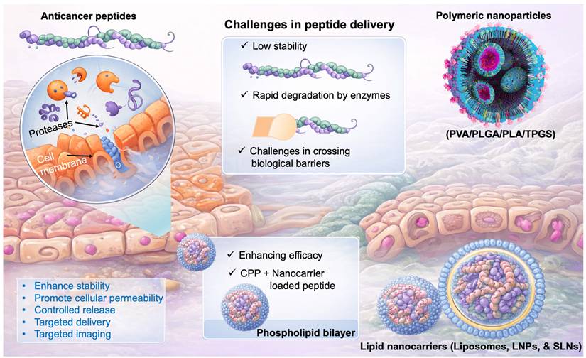 Nanotheranostics Image