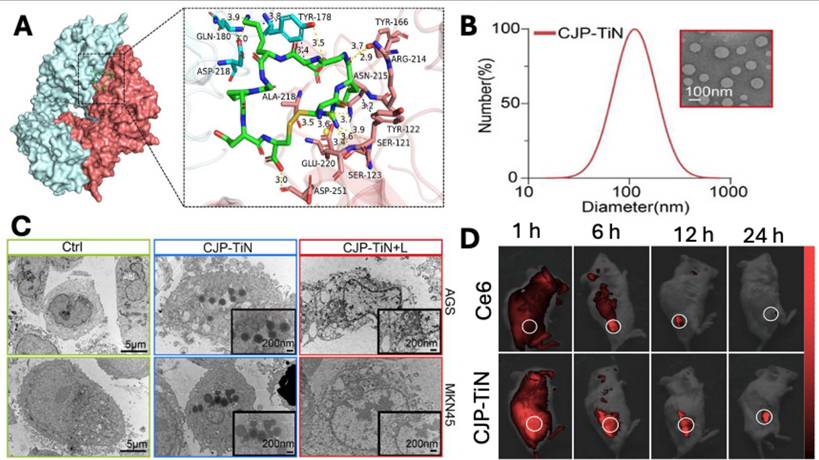 Nanotheranostics Image