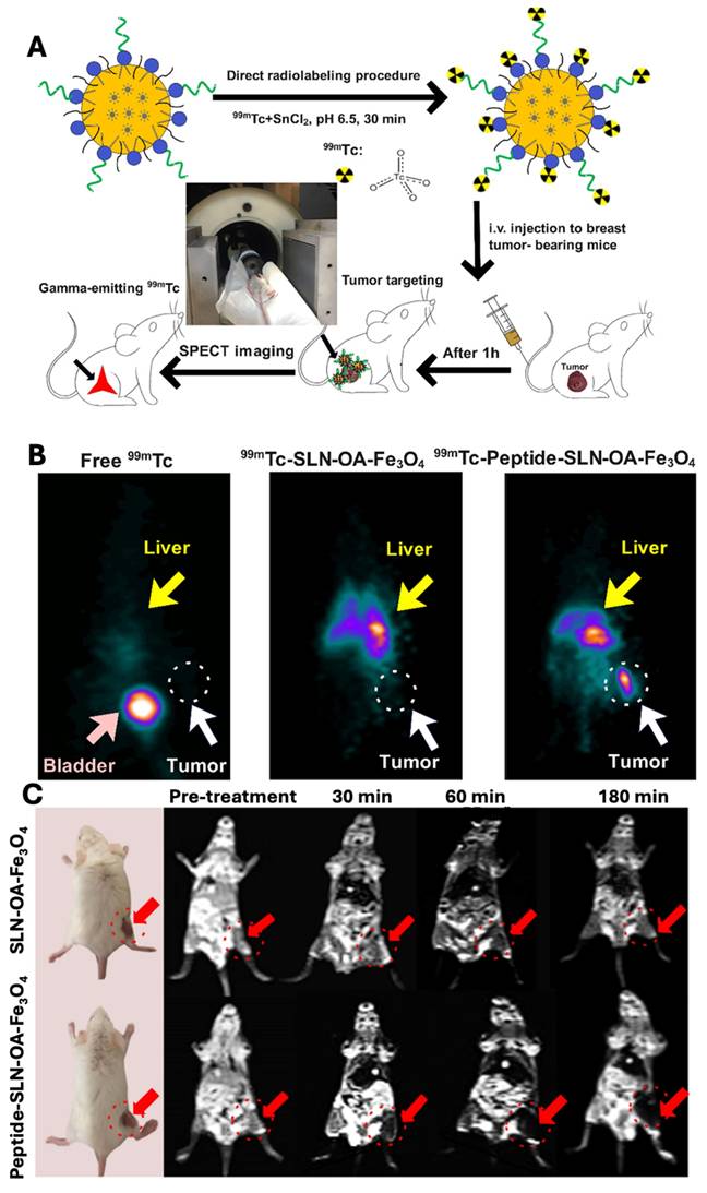 Nanotheranostics Image