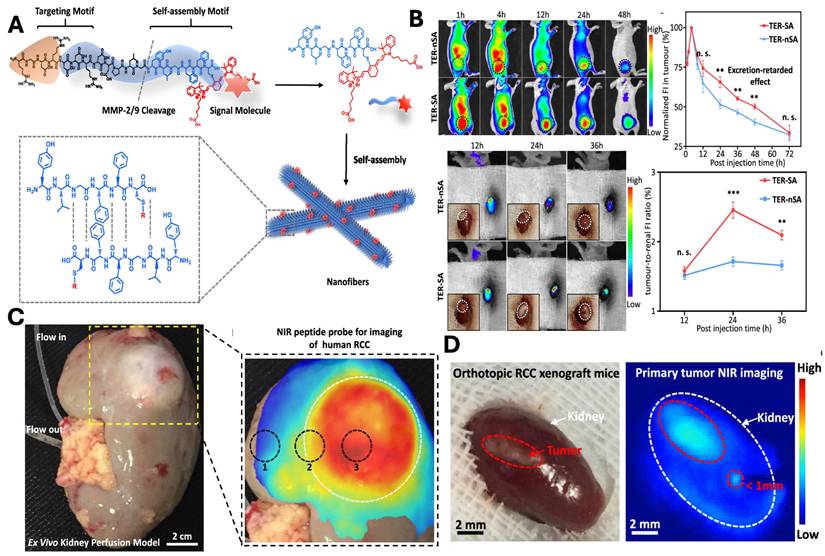 Nanotheranostics Image