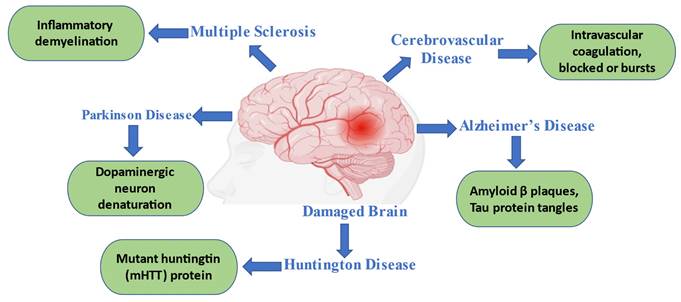 Drug delivery for neurodegenerative diseases is a problem, but lipid ...