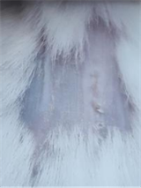 Nanotheranostics inline graphic