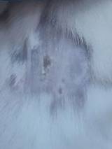 Nanotheranostics inline graphic