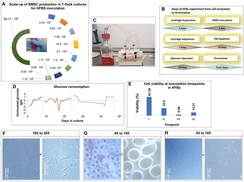 Nanotheranostics Image