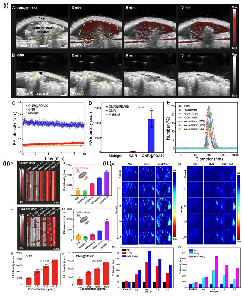 Nanotheranostics Image