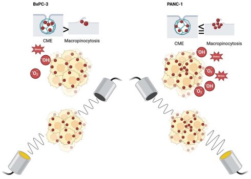 Graphic abstract