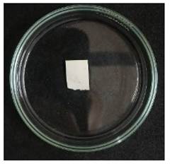 Nanotheranostics Image