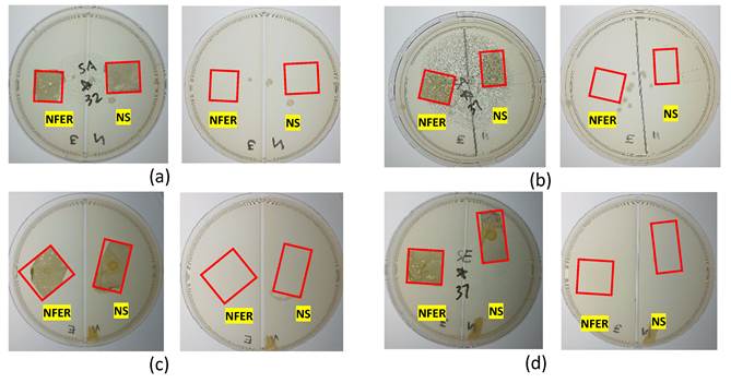 Nanotheranostics Image
