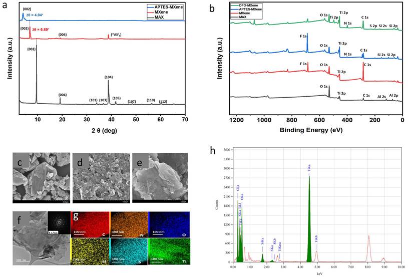 Nanotheranostics Image