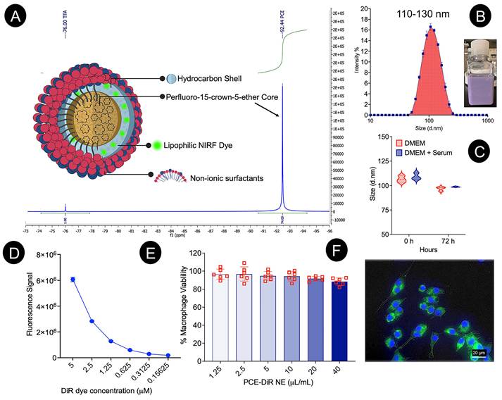 Nanotheranostics Image