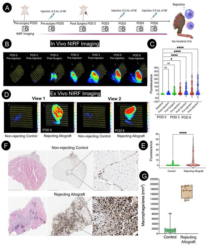 Nanotheranostics Image